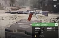 ASM-10 Corroded (Picture Courtesy: Triz/YT)
